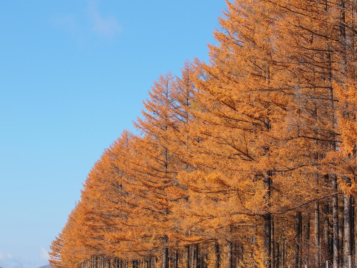 Log Hotel Larch Lake Kanayama Minamifurano المظهر الخارجي الصورة